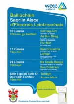 Bailiúicháin d'Fhearais Leictreachais Saor in Aisce  / Free Electrical Recycling Days