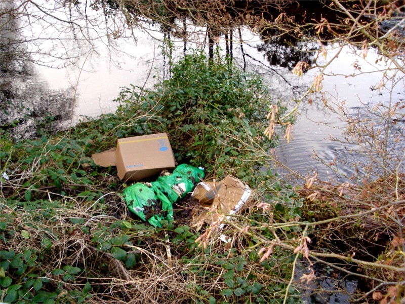 Sular tógadh an bhruscar i rith Lá Mór Glantacháin 2013, Meas Iar-Thuaisceart, North West Anti-Waste Campaign